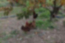 운경민박 - 강진군청 운경민박