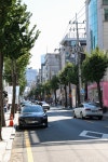 강남구 주민센터 > 신사동 강남구 주민센터 신사동