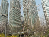54-내-143 | 강남구청 > 분야별정보 > 환경 > 기념식수 나무찾기