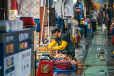 관광지 - 속초관광수산시장 상세화면 | 강원관광 > ONLY 강원 > 관광지 강원관광