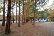 관광지 - 보보스캇 캠핑장 상세화면 | 강원관광 홈페이지 > 강원도여행 > 관광지 강원관광 홈페이지