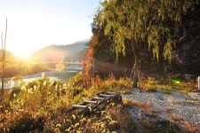 관광지 - 고릴라 오토캠핑장 상세화면 | 강원관광 홈페이지 > 강원도여행 > 관광지 강원관광 홈페이지