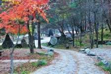 관광지 - 항골계곡 야영장 상세화면 | 강원관광 홈페이지 > 강원도여행 > 관광지 강원관광 홈페이지