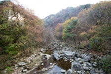 観光地 - 九龍寺渓谷 상세화면 | 강원관광-일문 > 江原道の旅行 > 観光地