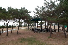 관광지 - 송지호 오토캠핑장 상세화면 | 강원관광 홈페이지 > 강원도여행 > 관광지 강원관광 홈페이지