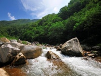 관광지 - 직동계곡 상세화면 | 강원관광 홈페이지 > 강원도여행 > 관광지 강원관광 홈페이지