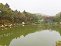 관광지 - 승안낚시터 상세화면 | 강원관광 홈페이지 > 강원도여행 > 관광지 강원관광 홈페이지