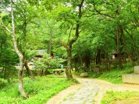 관광지 - 대관령 산신각 상세화면 | 강원관광 홈페이지 > 강원도여행 > 관광지 강원관광 홈페이지