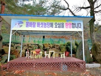 관광지 - 물바람 농장 캠프 상세화면 | 강원관광 홈페이지 > 강원도여행 > 관광지 강원관광 홈페이지