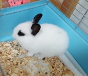 가생이닷컴>커뮤니티 > 잡담 게시판 > 전 ㅇㅅㅇ소니가 스마트폰 만들엇다는거 처음알앗어여!