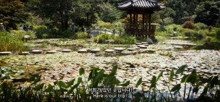 가생이닷컴>커뮤니티 > 잡담 게시판 > 대한민국에 현존하는 에덴동산 아침고요수목원.JPG