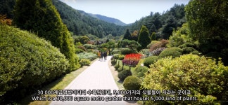 가생이닷컴>커뮤니티 > 잡담 게시판 > 대한민국에 현존하는 에덴동산 아침고요수목원.JPG