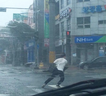 가생이닷컴>커뮤니티 > 잡담 게시판 > 이번 태풍으로 좋은 짤 하나 탄생했네요.jpg