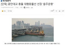 가생이닷컴>커뮤니티 > 잡담 게시판 > 광안대교 선장 보드카 벌컥벌컥
