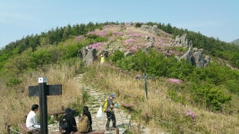 가생이닷컴>커뮤니티 > 정치 게시판 > 에구구 죽겠다. 무등산에 다녀왔습니다.