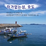 가생이닷컴>커뮤니티 > 잡담 게시판 > 호도 좋아요?