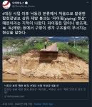 가생이닷컴>커뮤니티 > 잡담 게시판 > 4대강 사업 부실공사로 낙동강 제방 붕괴 의혹