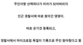 가생이닷컴>유머엽기 > 유머게시판 > 저기여 제가 주인을 잃어버렸는데여 ~