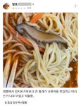 가생이닷컴>유머엽기 > 유머게시판 > 신문에도 난 짬뽕에서 벌레가 나왔다는 리뷰.jpg