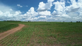 가생이닷컴>유머엽기 > 유머게시판 > 브라질 농장 풍경.jpg