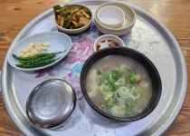 가생이닷컴>커뮤니티 > 잡담 게시판 > 간만에 시내 마산설렁탕 가서...