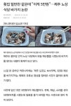 가생이닷컴>유머엽기 > 유머게시판 > 횟집 밑반찬 같은데 이게 5만원…제주 노상 식당 바가지 논란.news
