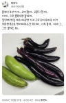 가생이닷컴>유머엽기 > 유머게시판 > 텃밭 또는 주말 농장 해본 사람만 아는 고통.jpg