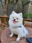 가생이닷컴>커뮤니티 > 잡담 게시판 > 뭉이