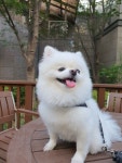 가생이닷컴>커뮤니티 > 잡담 게시판 > 뭉이