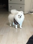 가생이닷컴>커뮤니티 > 잡담 게시판 > 뭉이