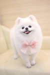 가생이닷컴>커뮤니티 > 잡담 게시판 > 뭉이