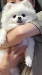 가생이닷컴>커뮤니티 > 잡담 게시판 > 뭉이