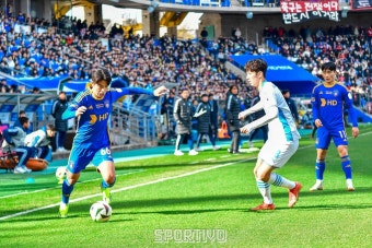 가생이닷컴>커뮤니티 > 축구게시판 > 국가대표 수비수 설영우, 세르비아 츠르베나 즈베즈다 이적 근접
