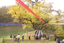 금산군청  | 금산군청