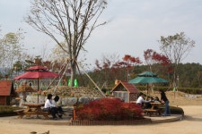 금산군청  | 금산군청