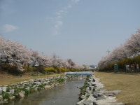 금산군청  | 금산군청