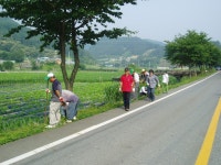 금산군청  | 금산군청