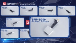 파이진하정대리점 | [Servicebio 공식대리점] 내 개인용 메뉴얼 파이펫은 색 다른 파이펫으로! | 할인행사 > Bio마켓 | BRIC