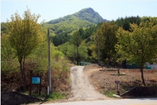  : 경기관광포털