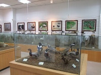 경기도 안산 추천여행 - 갈대습지공원, 씽씽 썰매장 | 여행이야기 | 추천여행 | 경기관광플랫폼