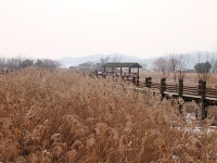 경기도 안산 추천여행 - 갈대습지공원, 씽씽 썰매장 | 여행이야기 | 추천여행 | 경기관광플랫폼