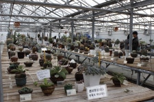 경기도 고양 가볼만한곳 - 가시 보다 꽃! 고양 선인장 전시관 | 여행이야기 | 추천여행 | 경기관광플랫폼