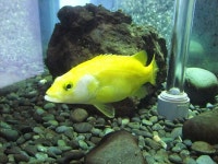 경기도 양평 추천여행 - 체험학습으로 좋은 민물고기 생태학습관 | 여행이야기 | 추천여행 | 경기관광플랫폼