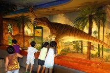 경기도 부천 추천여행 - 자연생태박물관 | 여행이야기 | 추천여행 | 경기관광플랫폼