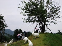 경기도 안성 추천여행 - 안성 남사당 바우덕이 축제 개막 | 여행이야기 | 추천여행 | 경기관광플랫폼