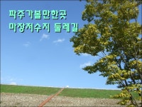 경기도 파주 추천여행 - 마장저수지 둘레길 | 여행이야기 | 추천여행 | 경기관광플랫폼