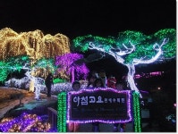 경기도 가평 추천여행 - 아침고요수목원 겨울꽃의 찬란함 오색별빛정원전 | 여행이야기 | 추천여행 | 경기관광플랫폼
