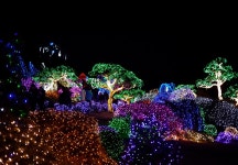 경기도 가평 추천여행 – 마음속의 경기도 6.아침고요수목원 | 여행이야기 | 추천여행 | 경기관광플랫폼