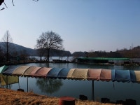경기도 안성 가볼만한곳 - 멋진 경관을 자랑하던 고삼저수지 | 여행이야기 | 추천여행 | 경기관광플랫폼