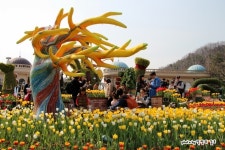 경기도 용인 가볼만한곳 - 봄꽃축제의 시작 에버랜드 튤립축제 | 여행이야기 | 추천여행 | 경기관광플랫폼